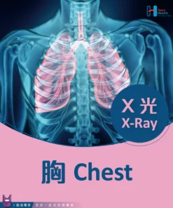 胸X光檢查 Chest X -Ray