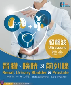 超聲波檢查 – 腎臟,膀胱及前列腺 (經腹部) Renal, Urinary Bladder and Prostate Ultrasound (Transabdominal).webp