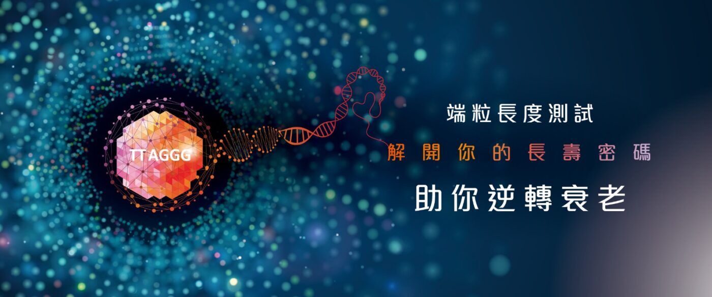 端粒長度測試助你逆轉衰老3